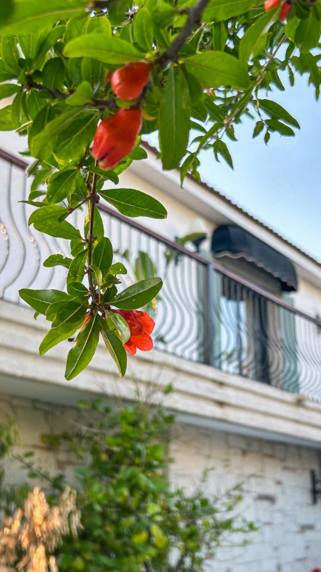 N Hotels Cesme Dalyankoy  Luaran gambar