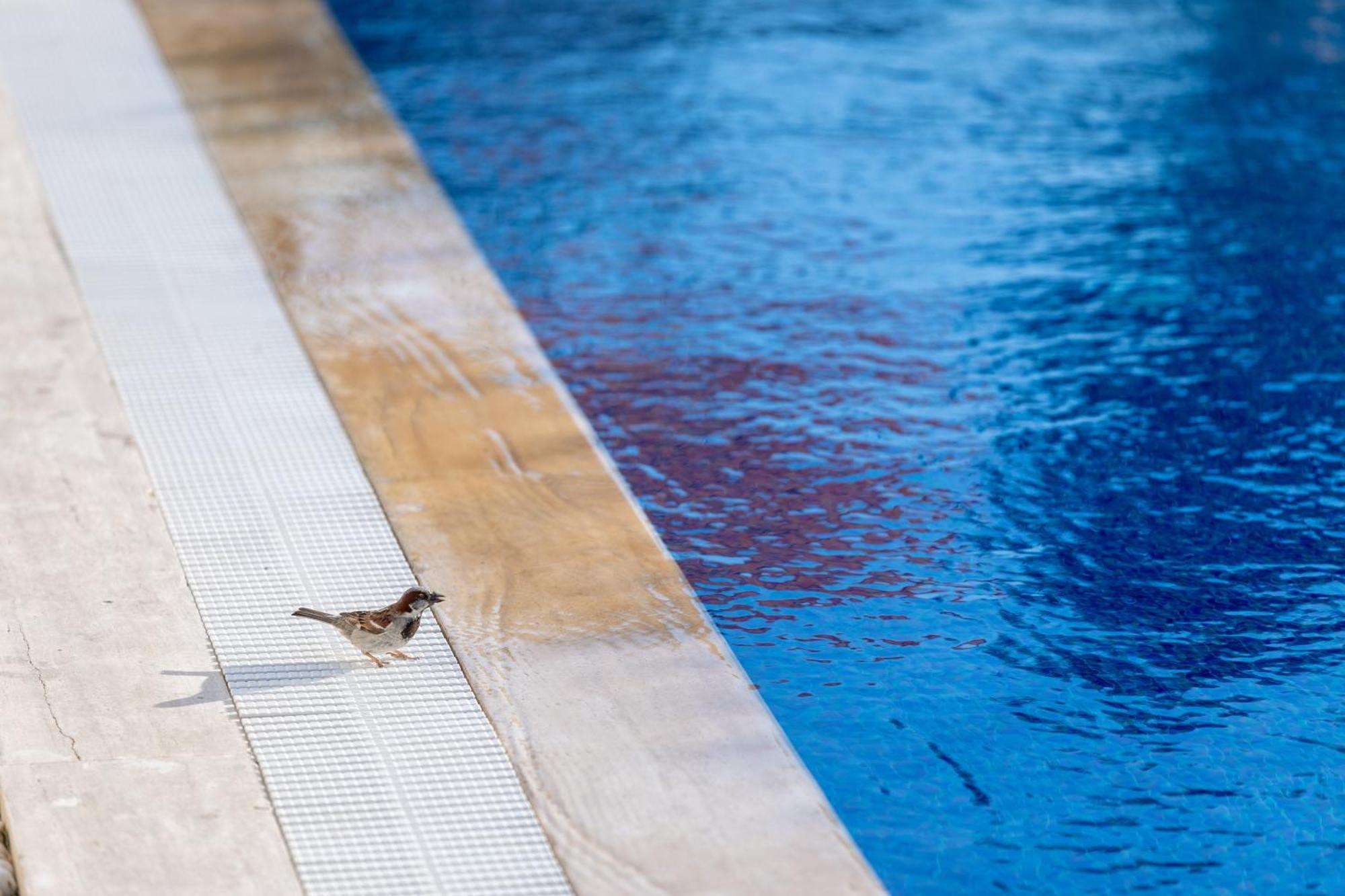 N Hotels Cesme Dalyankoy  Luaran gambar